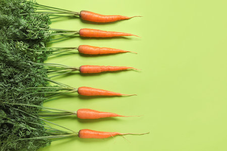 fresh carrots with leaves on green backgroundの写真素材