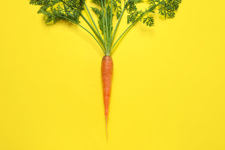 fresh carrots with leaves on yellow backgroundの写真素材