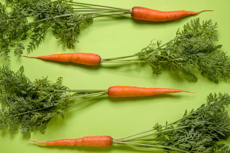 fresh carrots with leaves on green backgroundの写真素材