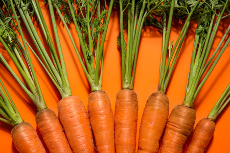 fresh carrots with leaves on orange backgroundの写真素材