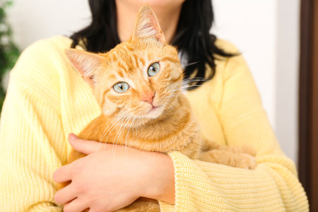 Woman with ginger cat at home, closeupの写真素材