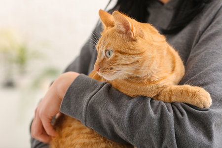Woman with ginger cat at home, closeupの写真素材