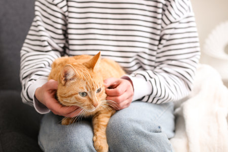 Woman with cute ginger cat sitting at home, closeupの写真素材
