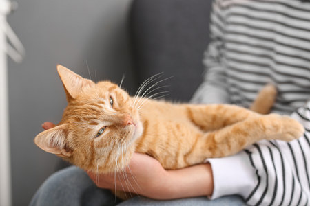 Woman with cute ginger cat sitting at home, closeupの写真素材