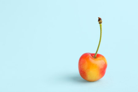 Sweet yellow cherry on blue backgroundの写真素材