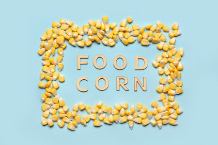 Words FOOD CORN and frame made of seeds on blue backgroundの写真素材