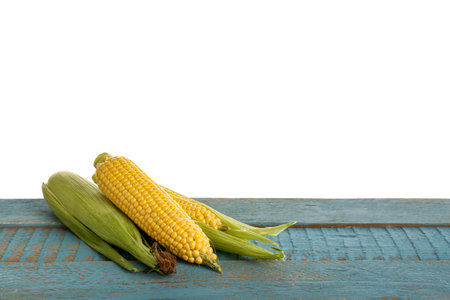 Fresh corn cobs on blue wooden table against white backgroundの写真素材