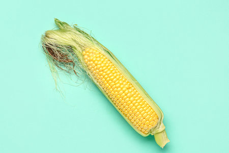 Fresh corn cob on blue backgroundの写真素材