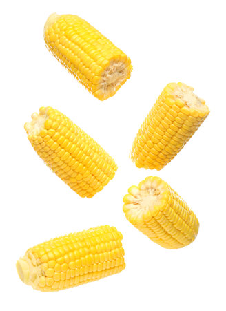 Cut fresh corn cobs on white background