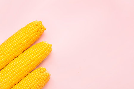 Fresh corn cobs on pink backgroundの写真素材
