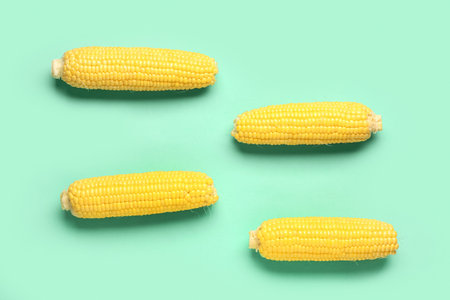 Fresh corn cobs on turquoise backgroundの写真素材