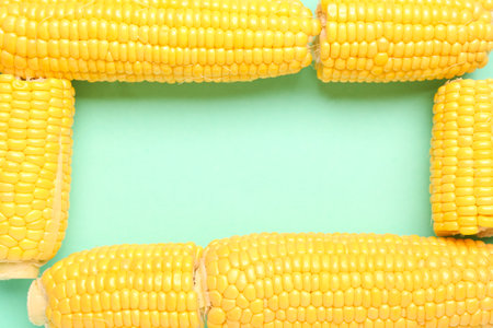 Frame made of fresh corn cobs on turquoise backgroundの写真素材