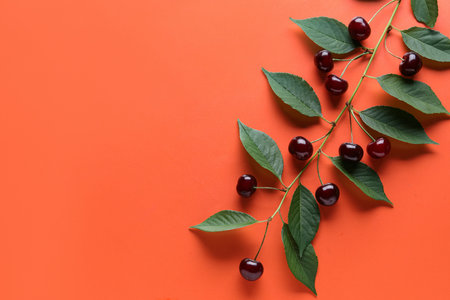 Tree branch with leaves and sweet cherries on orange background