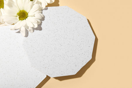Decorative plaster podiums and daisy flowers on beige background