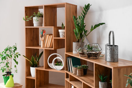 Bookcase with florariums and houseplants in light roomの写真素材