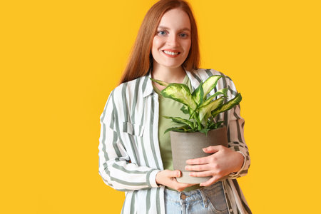 Young woman with green houseplant on yellow backgroundの写真素材