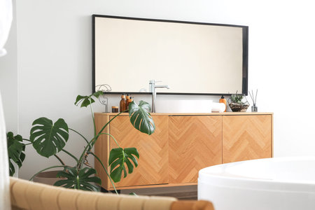 Interior of light bathroom with sink, bathtub and houseplant