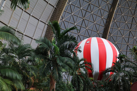View of hot-air balloon and palm trees in amusement park