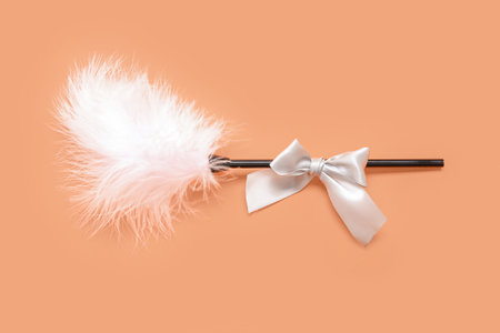 Feather stick with beautiful bow on orange backgroundの写真素材