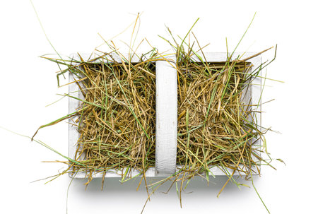 Straw in wooden basket on white backgroundの写真素材