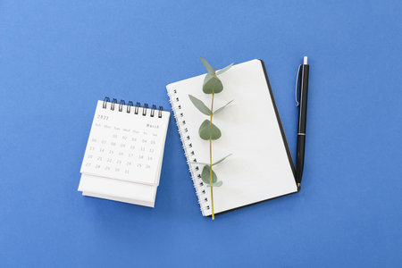 Flip paper calendar for March with notebook and eucalyptus branch on blue backgroundの写真素材