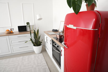 Interior of modern kitchen with stylish refrigerator, closeupの写真素材