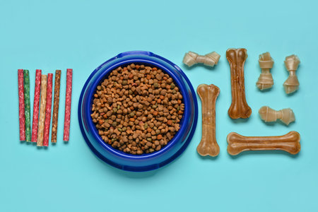 Composition with different dog treats and dry food on color backgroundの写真素材