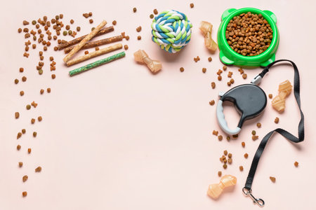 Composition with dog food and accessories on light backgroundの写真素材