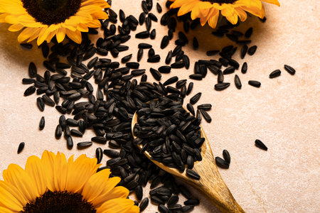 Spoon with sunflower seeds on beige backgroundの写真素材