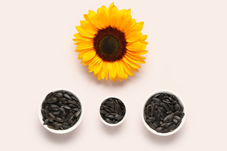Sunflower and bowls with seeds on beige backgroundの写真素材