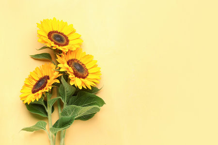 beautiful sunflowers on yellow backgroundの写真素材