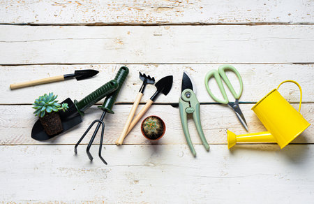 Set of gardening tools on white wooden backgroundの写真素材