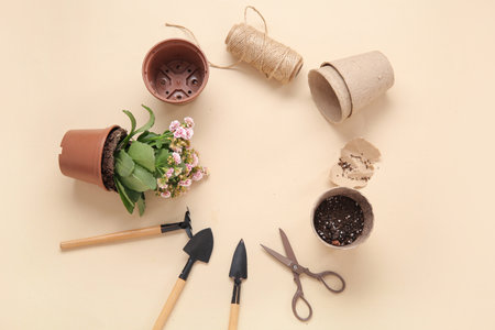 Frame made of different gardening tools and plant on beige backgroundの写真素材