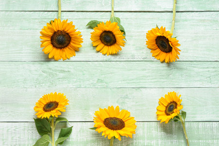 Frame made of beautiful sunflowers on wooden backgroundの写真素材