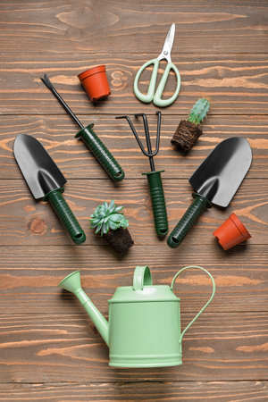 Composition with gardening tools and plants on brown wooden backgroundの写真素材