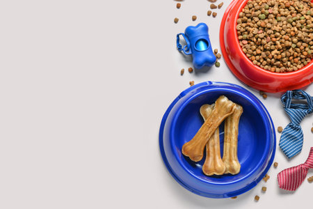 Composition with different dog food and accessories on light backgroundの写真素材
