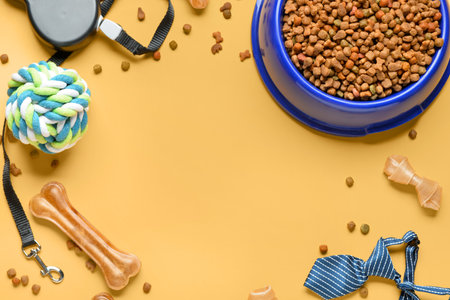 Frame made of different dog food and pet care accessories on color backgroundの写真素材