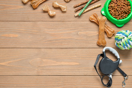 Composition with different dog food and accessories on wooden backgroundの写真素材