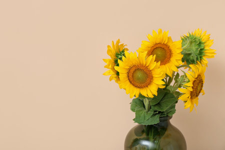 Vase with sunflowers near beige wall, closeupの写真素材