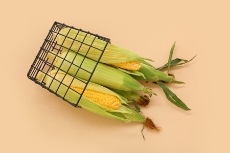 Basket with fresh corn cobs on beige background