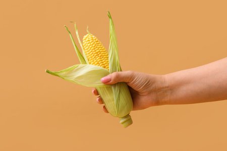 Woman holding fresh corn cob on brown background