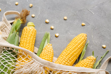 Mesh bag with fresh corn cobs on gray tableの写真素材