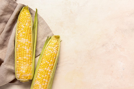 Fresh corn on cobs on the table. Top view with copy spaceの写真素材