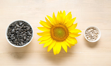 Beautiful sunflower and bowls with seeds on white wooden backgroundの写真素材