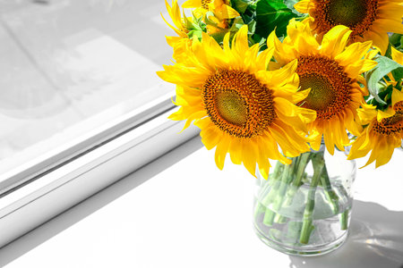 Vase with beautiful sunflowers on windowsill in room, closeupの写真素材