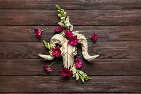 Skull of sheep with beautiful chrysanthemums flowers on wooden backgroundの写真素材