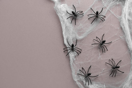 Cobweb with spiders for Halloween party on gray background