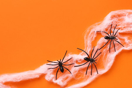 Cobweb with spiders for Halloween party on orange backgroundの写真素材