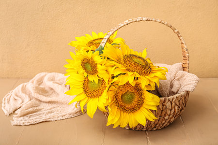 Wicker basket with beautiful sunflowers on beige wooden tableの写真素材