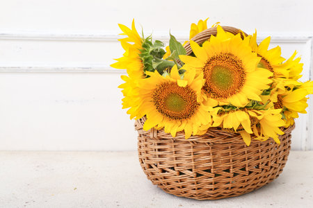 Wicker basket with beautiful sunflowers on white backgroundの写真素材